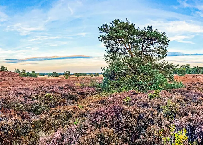 3 Bedroom In Сasa de vacaciones *